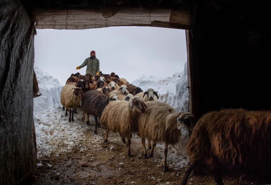 Everyday Life Of Turkey Photography by Ibrahim Aysundu