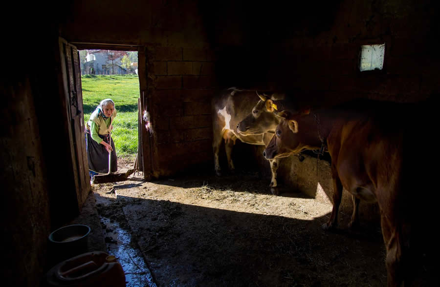 Everyday Life Of Turkey Photography by Ibrahim Aysundu