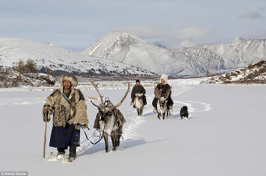 The Everyday Life of the Reindeer People Living in Mongolia by Hamid Sardar-Afkhami