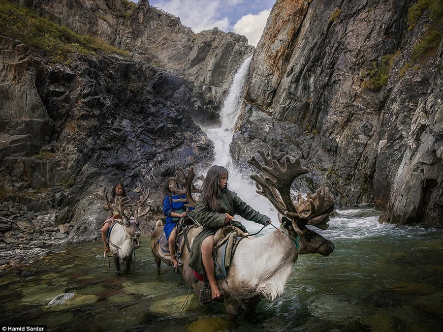 The Everyday Life of the Reindeer People Living in Mongolia by Hamid Sardar-Afkhami