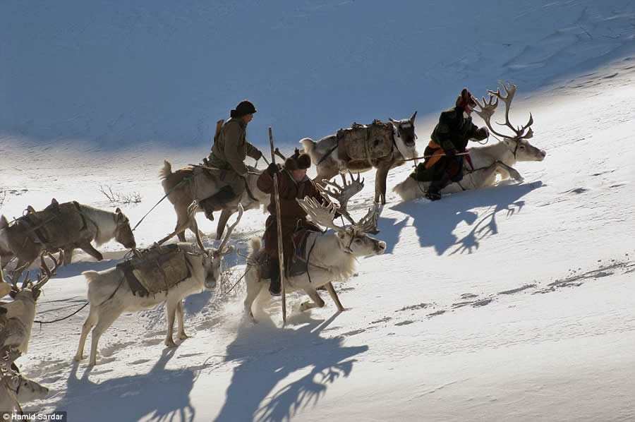 The Everyday Life of the Reindeer People Living in Mongolia by Hamid Sardar-Afkhami