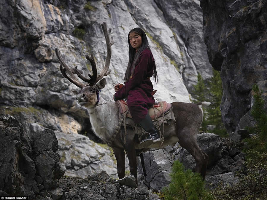 The Everyday Life of the Reindeer People Living in Mongolia by Hamid Sardar-Afkhami