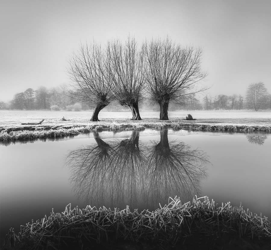 Award-Winning Black and White Photos From The Garden Photographer Of The Year