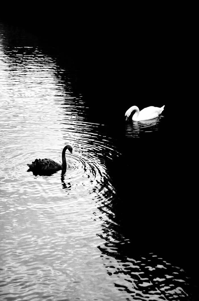 Black and White Minimalist Street Photography