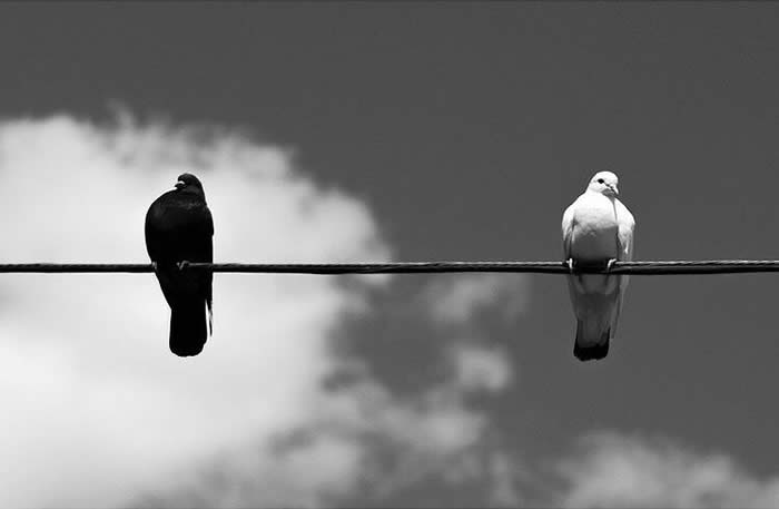 Black and White Minimalist Street Photography