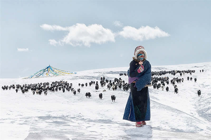 Sacred Beauty of Tibet and the Grand Buddha Festival at Langmu Temple by Hu Guoqing