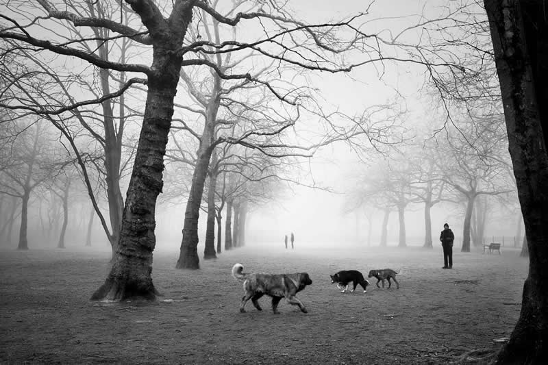 Black and White Photography by Mania De Praeter