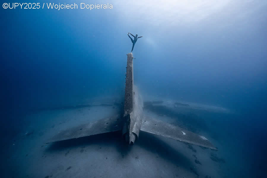 2025 Underwater Photographer of the Year Winners