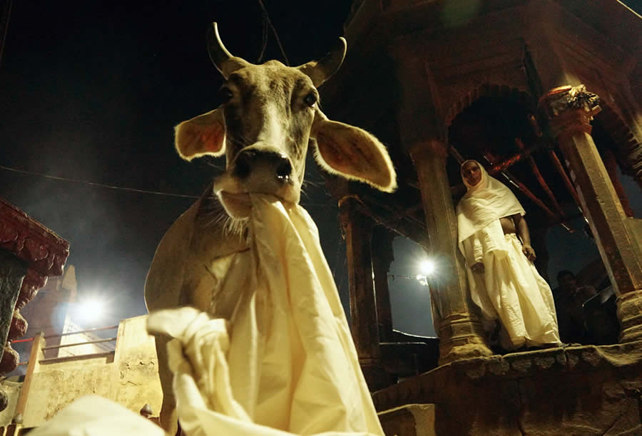 Varanasi in Winter Fog by Manish Khattry