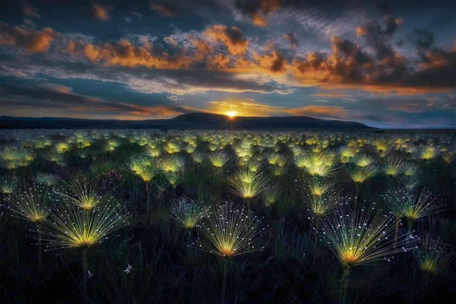 2025 World Nature Photography Awards Winners