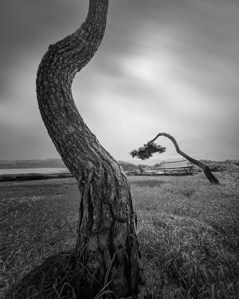 Black and White Long Exposure Landscape Photography by Jo Deok-hwan