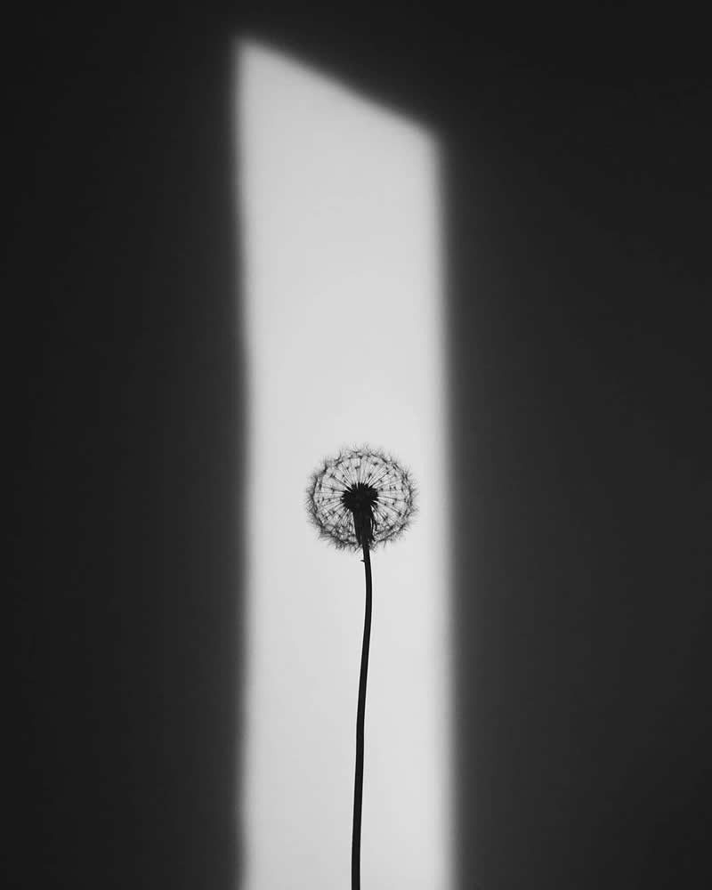 Black and White Fine Art Photography by Gabriel Guerrero Caroca