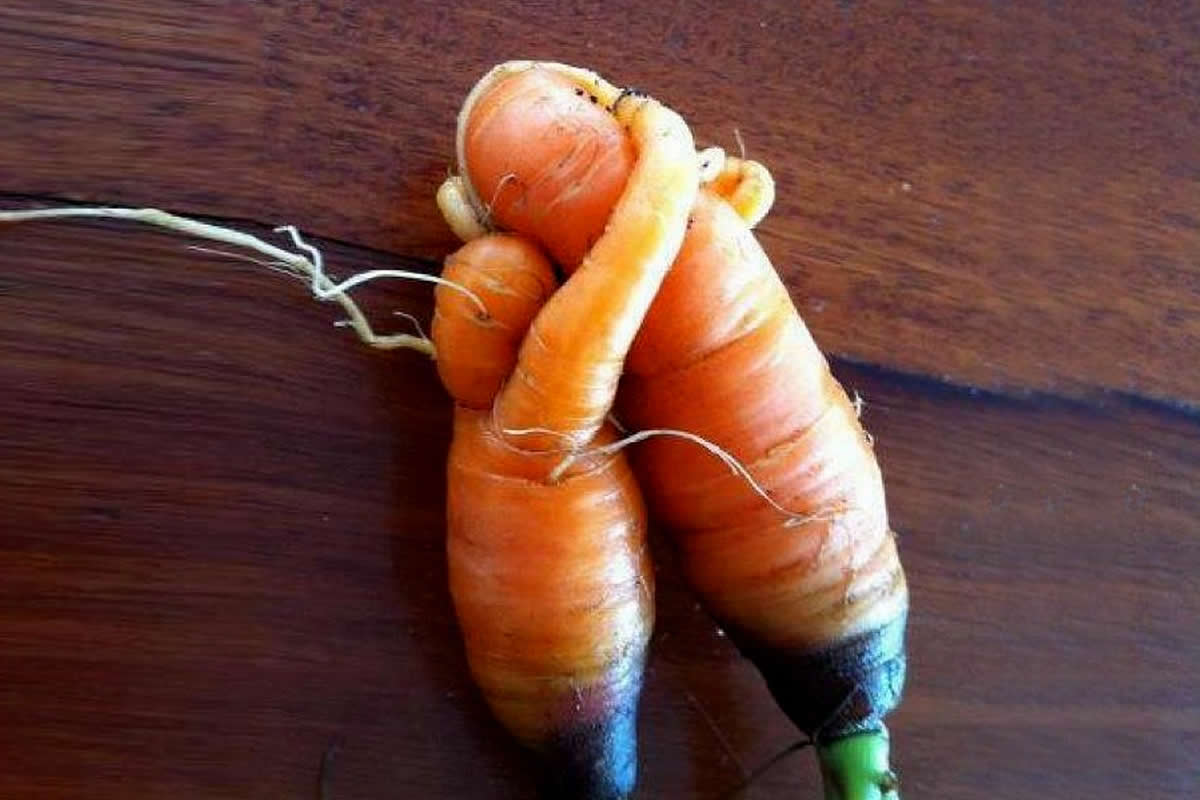 Funny Fruits and Vegetables