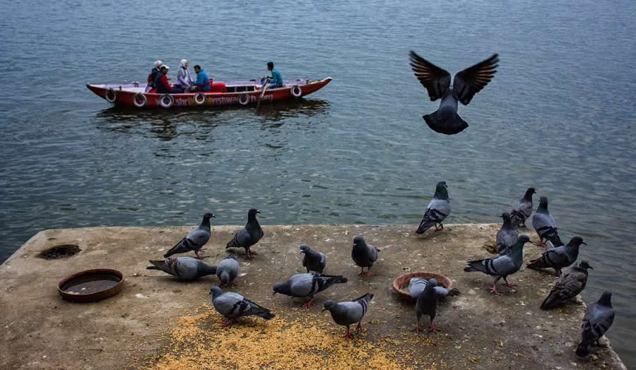 Indian Street Photography by Konark Basu