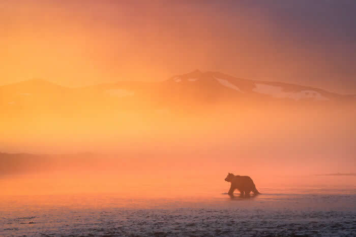 2024 International Photo Awards Nature Winners