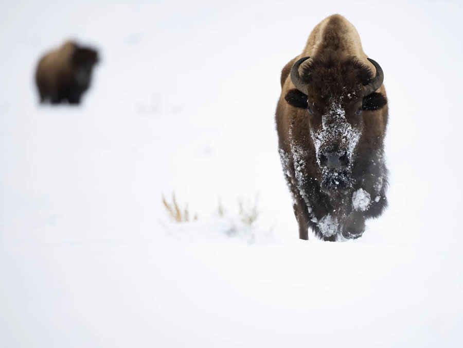 2024 Nature Photography Contest Winners