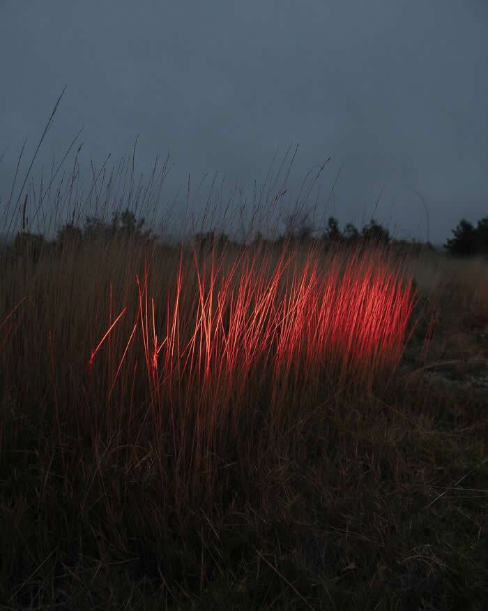 Perfectly Timed Photos by Denis Cherim That Capture Magical Coincidences