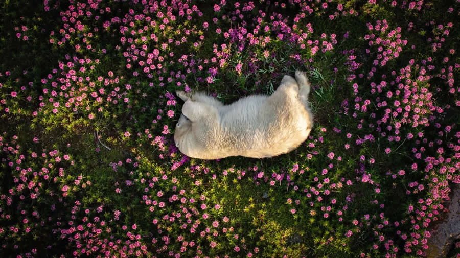 Winning Photos from the 2024 Nature Photography Contest