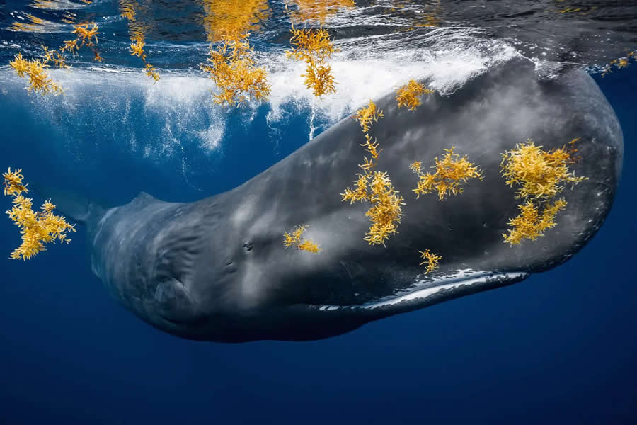 Winning Photos from the 2024 Nature Photography Contest