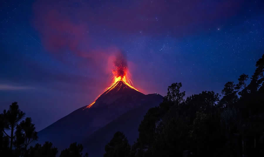 Winning Photos from the 2024 Nature Photography Contest