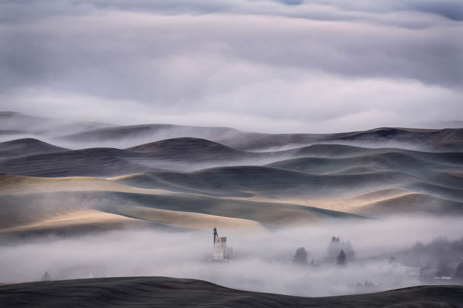 2024 Tokyo International Foto Nature Awards