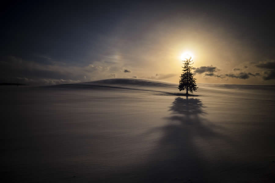 2024 Tokyo International Foto Nature Awards