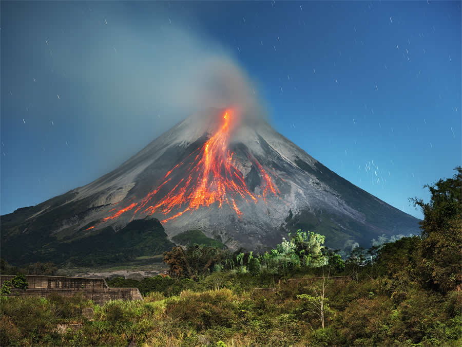 2024 Tokyo International Foto Nature Awards