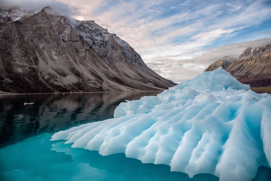 2024 Tokyo International Foto Nature Awards